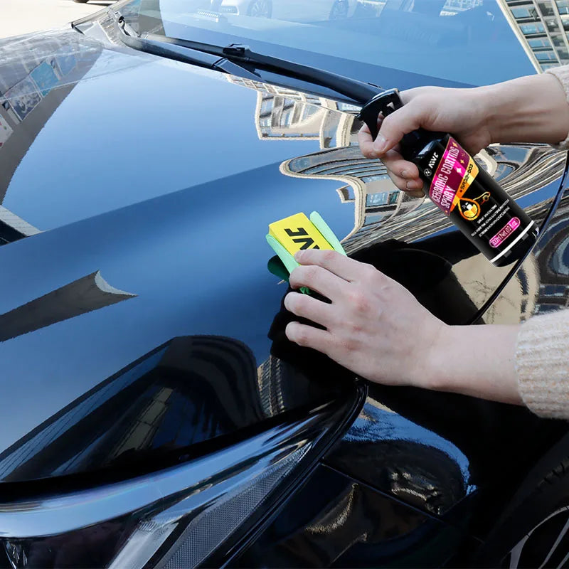 Ceramic Coating Spray (Automotive)